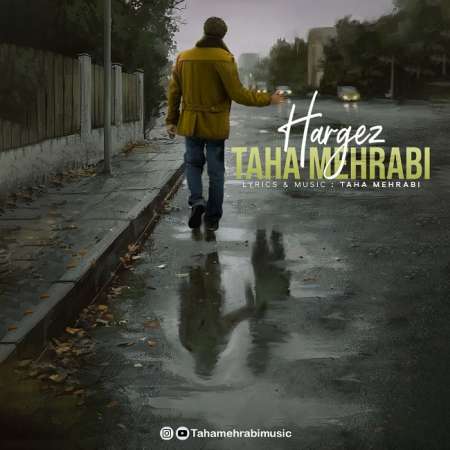 Taha Mehrabi – Hargez